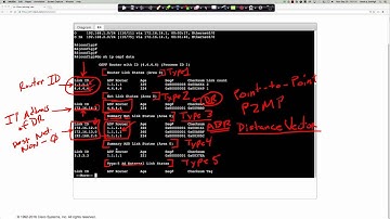 FALL 2016 - CTS265 - CCNP ROUTE - Cisco Learning Labs Discovery #10: OSPFv2 LSDB - Week #3
