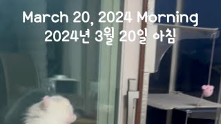 루티, 좋은 아침 (ROOTEE, Good morning) by 루티 43 views 1 month ago 1 minute, 53 seconds
