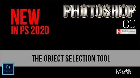 Photoshop CC 2020 : The Object Selection Tool