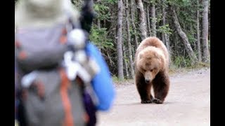 Медведь пришел на дачу к пенсионеру! Вот что было потом... Медведь пришел на дачу к пенсионеру! Вот что было потом...