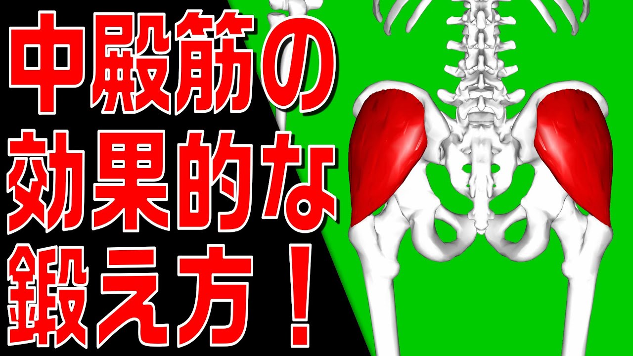 【理学療法士×筋トレ】片脚立位じゃダメ！歩行時の中殿筋の機能＆リハビリで中殿筋を効果的に筋力トレーニングする方法を解説します！