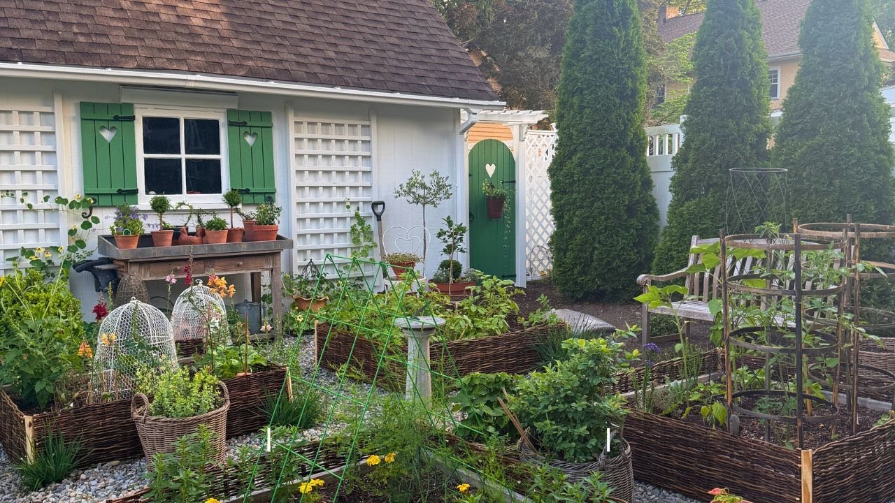 Summer Garden Walk // How's It Growing?