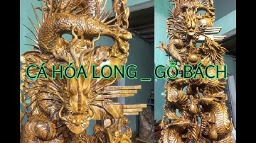 Gỗ bách đục CÁ HÓA LONG _ tượng gỗ Nguyễn Hồng 0987336318 zalo