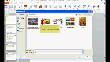 TWB Video Tutorial - How to Insert a Picture in Microsoft PowerPoint