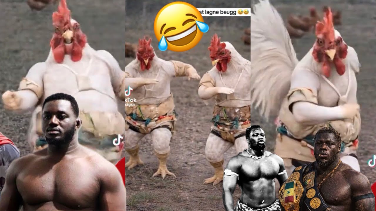 Ay guinar yi bakou Touss balla Gaye🐔😂😂