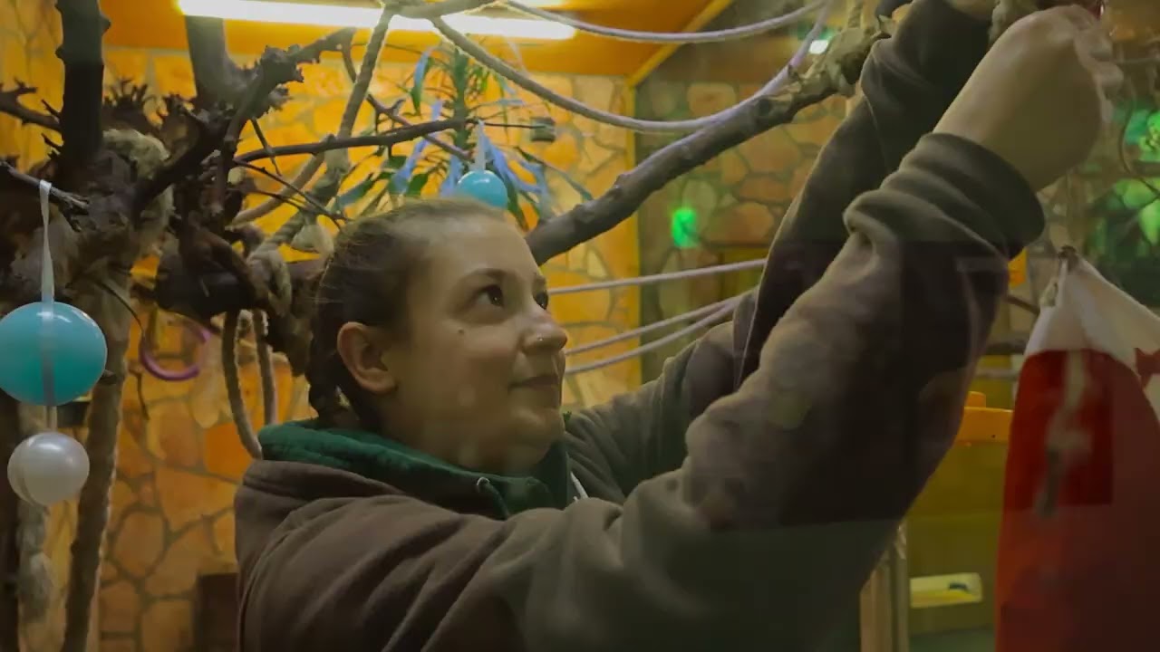 Karácsonyi ebéd a Nyíregyházi Állatparkban