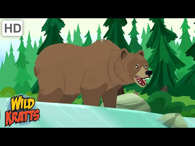 Wild Kratts | Bears Around the World | Black Bears, Grizzly Bears, Polar Bears and Panda Bears class=