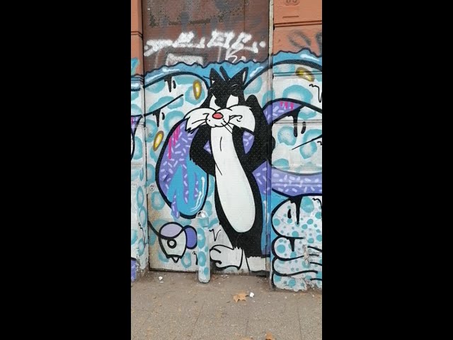 Mundo Roms - ArteCalleMR -  Mural de gato Silvestre