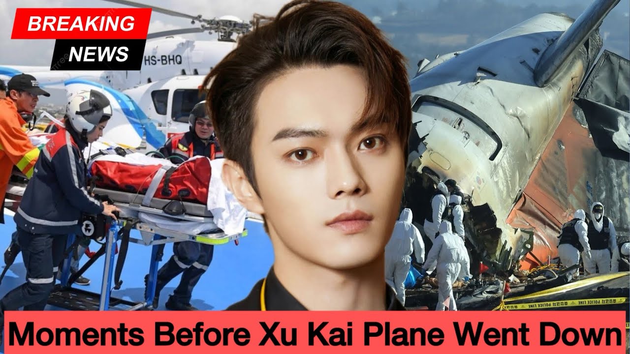 Hero Passenger Reveals the Final Moments Before Xu Kai’s Plane Went Down TAN SONGYUN