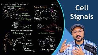 Cell Signaling Explained: How Cells Communicate | Types & Pathway