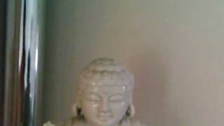 MiniDV D005 video camera camcorder example test video (4 of 4)