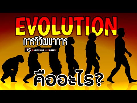 วีดีโอ: คุณหมายถึงอะไรโดยการวิเคราะห์สายวิวัฒนาการ?