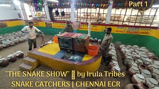 'THE SNAKE SHOW' 🐍 by Irula Tribes SNAKE CATCHERS | CHENNAI ECR | இருளர் பாம்பு பிடிப்போர் - Part 1