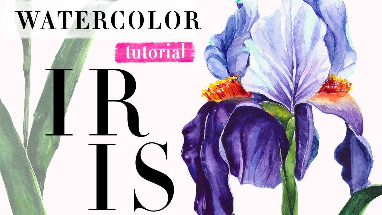 Iris Paints Watercolors - All Natural, Handmade & Hand poured in our home  studio