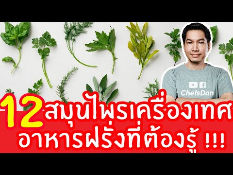 วีดีโอ: วิธีง่ายๆ ในการทานออริกาโนเป็นน้ำมันเย็น: 11 ขั้นตอน