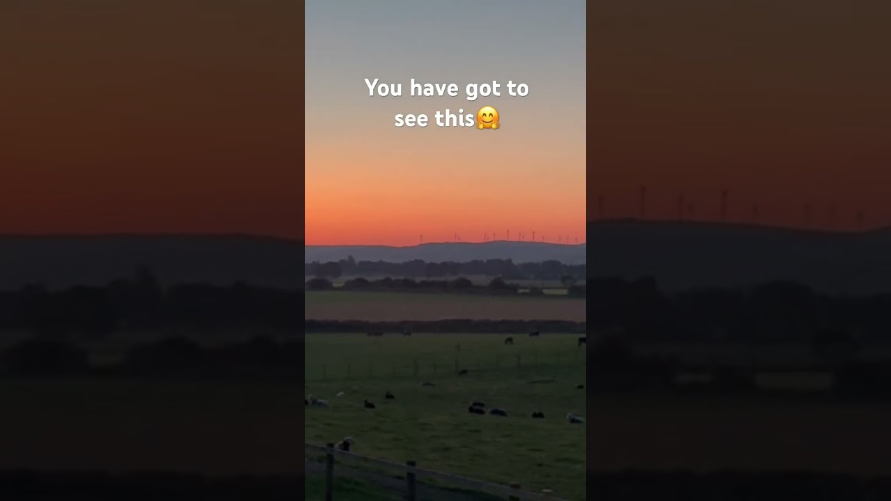 What An Amazing End To The Day 