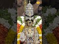 ஸ்ரீரங்கம் நம்பெருமாள் முத்தங்கி சேவை #srirangam #namperumal #perumal #shortsfeed #vaikuntaekadasi
