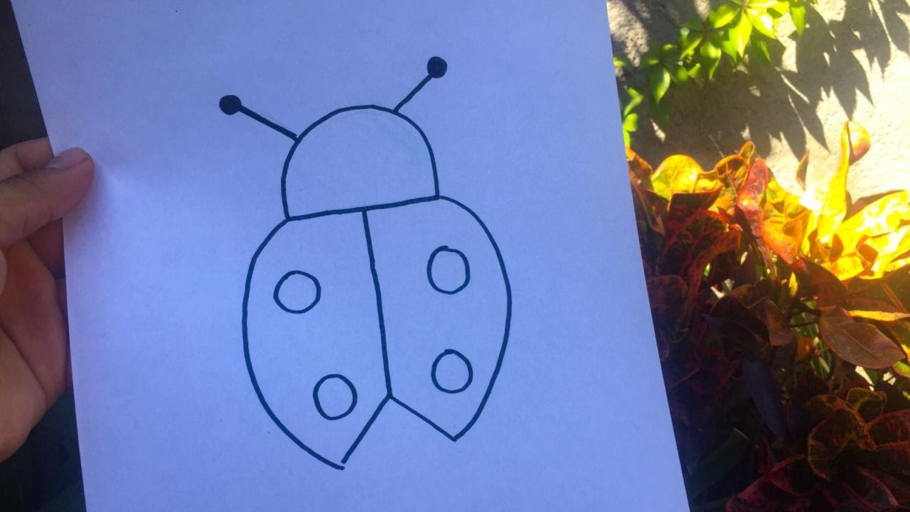 Como Dibujar Una Mariquita How To Draw A Ladybug Rápido Y Fácil 🐞