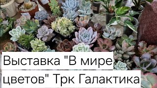 Обзор выставки комнатных и садовых растений Трк Галактика 20-21 апреля Краснодар