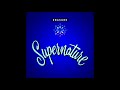 Erasure - Supernature (Miller & Legg Radio Remix)