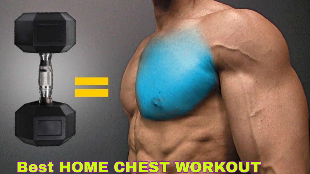 6 Day Dumbbells Chest Workout At Home with Comfort Workout Clothes