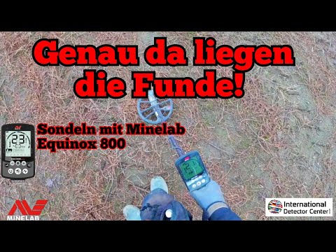 Sondeln mit Abzeichen, Silber und Co. mit Minelab Equinox 800 Metaldetecting