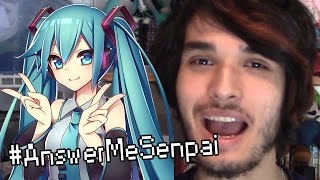 If My Anime Figurines Could Talk...?