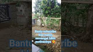 Download Lagu #istiqomah#motivasi#storywa#shorts MP3 Download Lagu #istiqomah#motivasi#storywa#shorts MP3