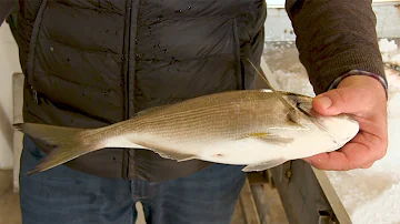 Quando il pesce va a male?