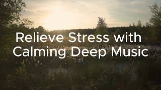 Relieve Stress with Calming Deep Music | Sleep, Study, Yoga Focus