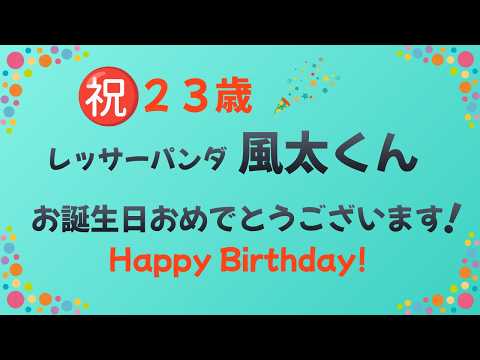 Happy Birthday❣️ ㊗️23歳！風太くんお誕生日おめでとうござい