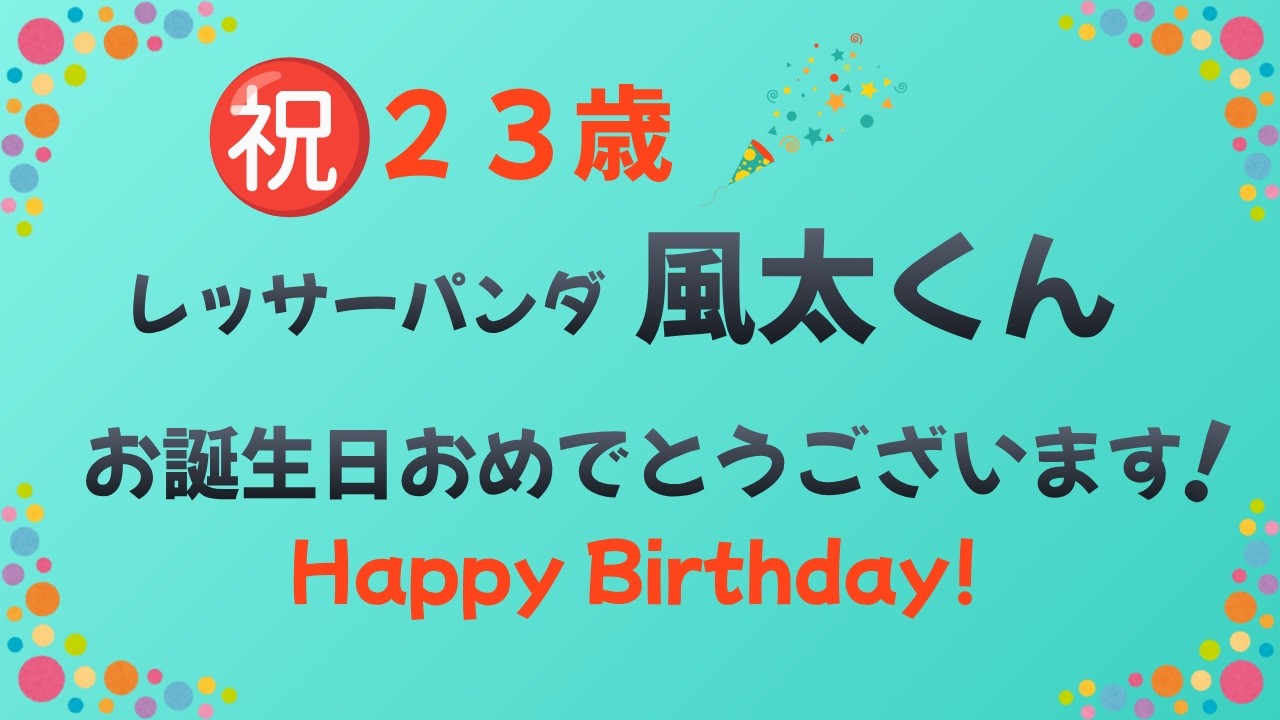 Happy Birthday❣️ ㊗️23歳！風太くんお誕生日おめでとうござい
