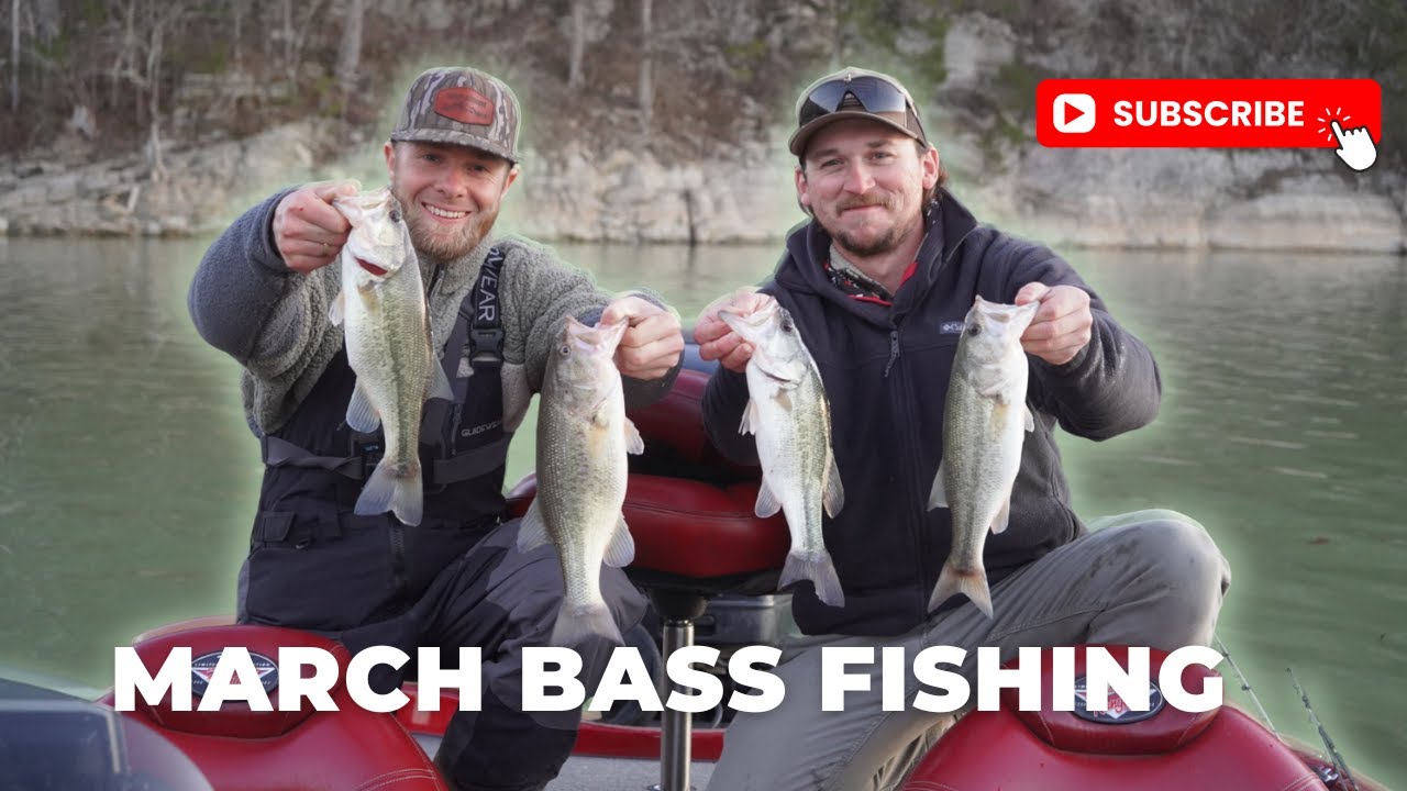 Norris Lake Bass Fishing March 1, 2025