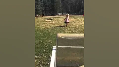 Brady on the pond