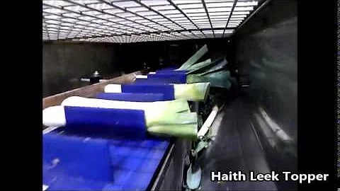Haith Leek Trimming & Packing system