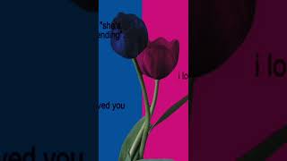🩷🩵TV girl.. 🩵🩷 #rvgirl #pink #blue #lovesong