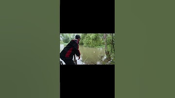 Ngày mưa câu cá suối #shorts #cauca #caucasuoi