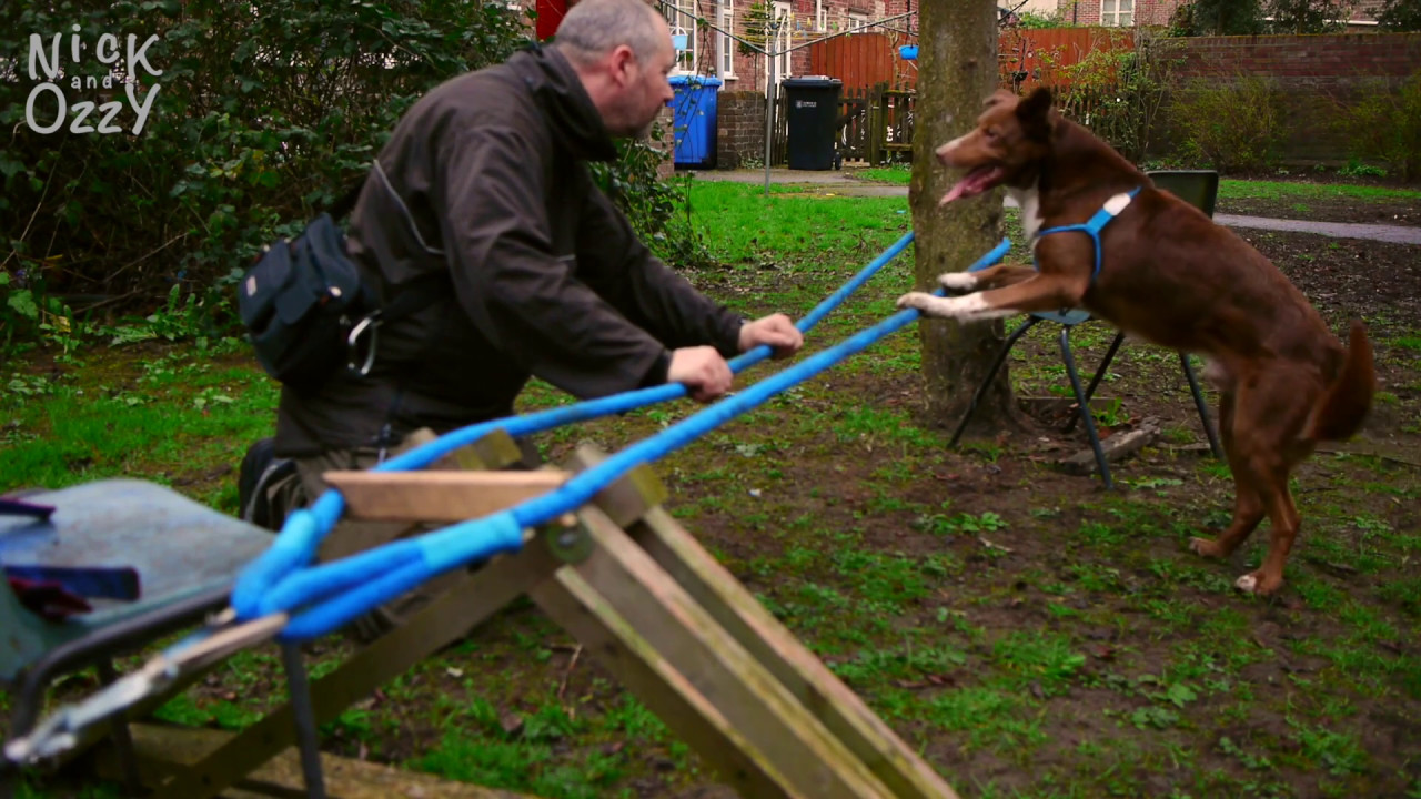 2 Ropes Tightrope Walk Training YouTube