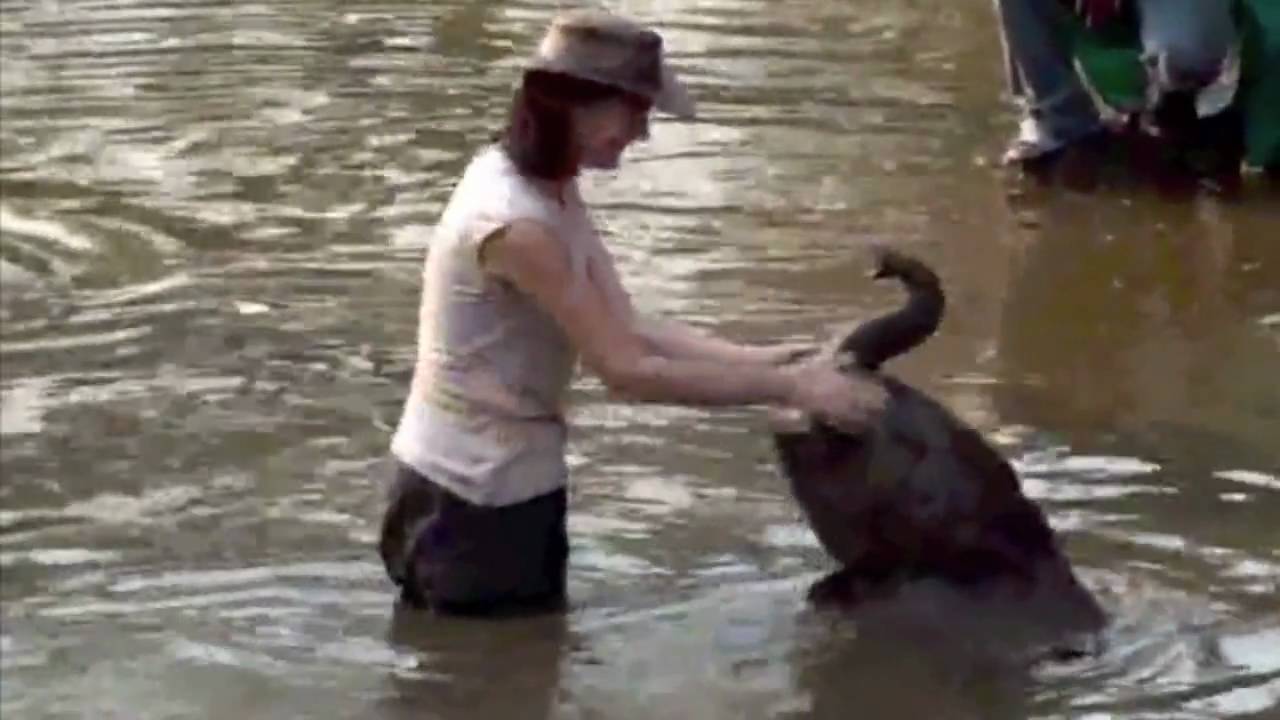 Chipembele's Rescued Animals