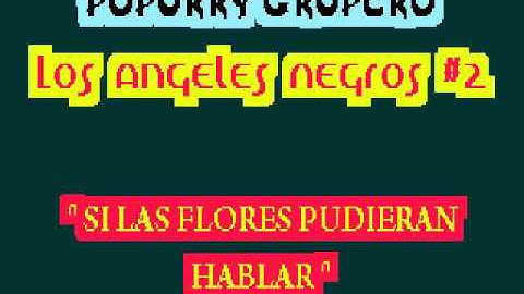 POPURRY   Los Angeles Negros #2 avi
