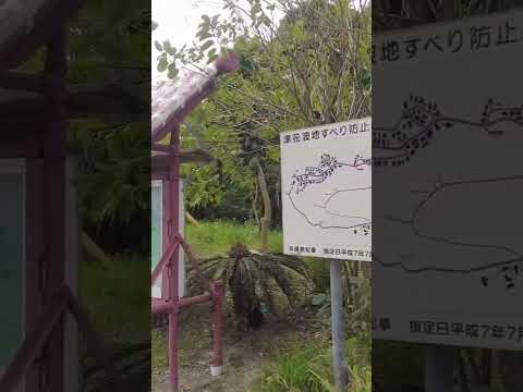 【西原町】西原台団地ぶらり散策ショート  #沖縄散歩#ぶらり歩き#街歩き
