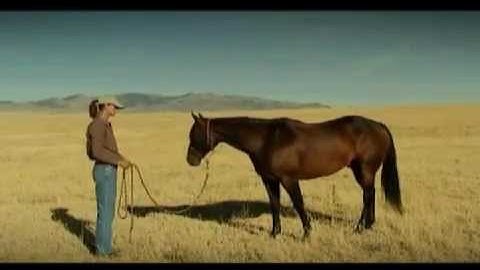 Fundamentals of Horsemanship -- Establishing boundaries