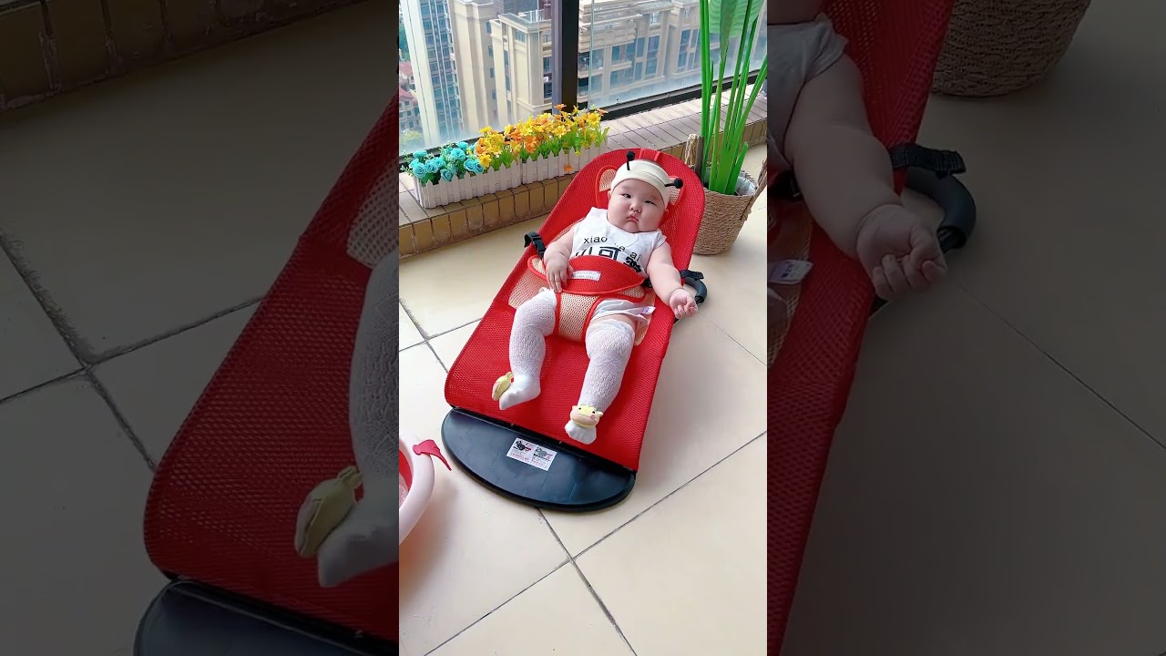 Baby Bouncer