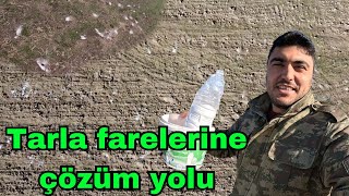 TARLA FARELERİNE ÇÖZÜM YOLU BULDUK