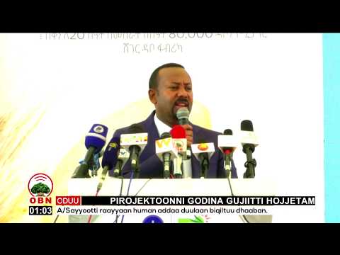 Shaggar Imala Badhaadhinaa Eegalte Jirti Dr Abiyyi