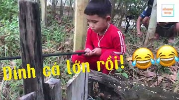 Trải nghiệm cuối tuần của Cu Hiện - Câu cá, nấu cơm! Ngon tuyệt vời! Hiển Quang Official