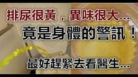 排尿很黄、异味很大？可能是身体在向你暗示这5件事！ ! - 天天要闻
