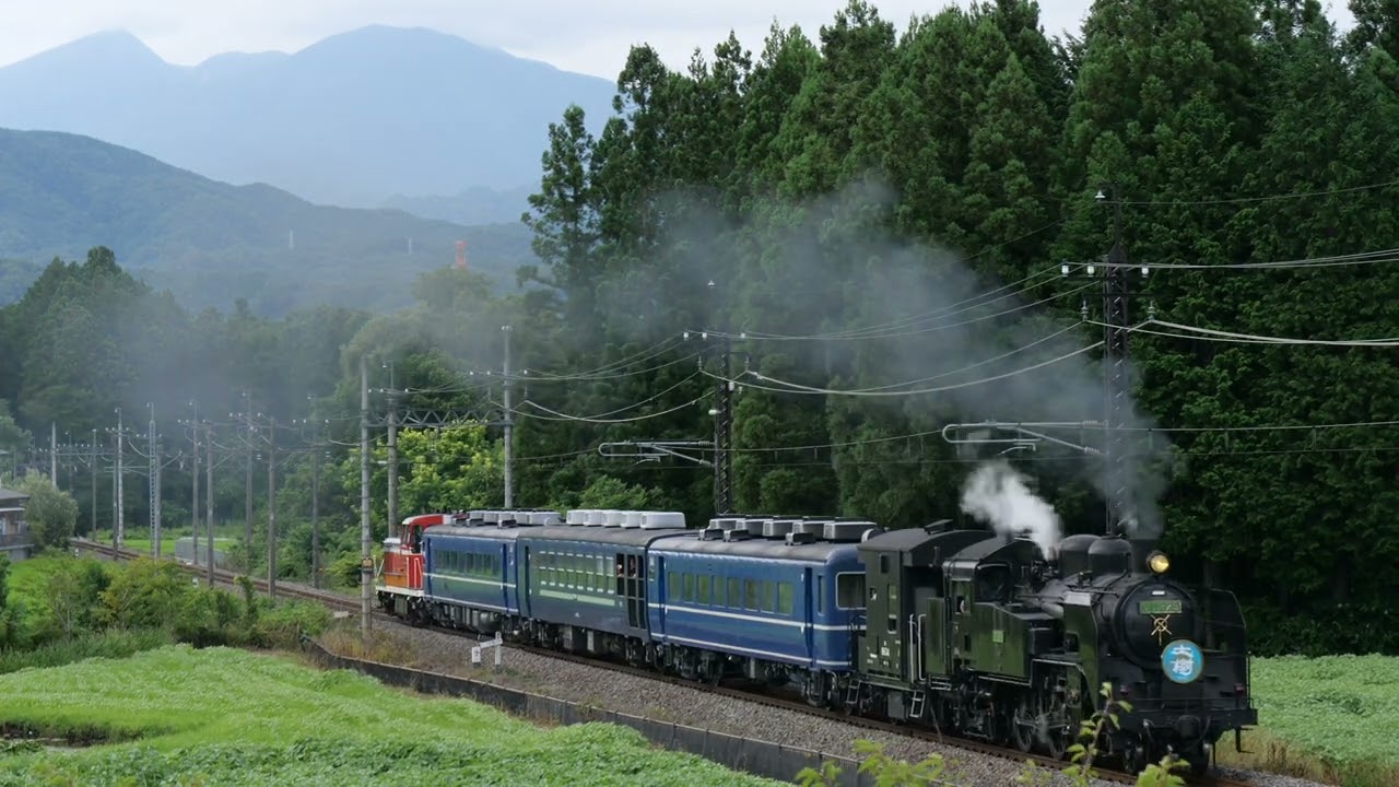 燃える樹 T019-9 C11形蒸気機関車 325号機 東武鉄道SL「大樹」 タイプ