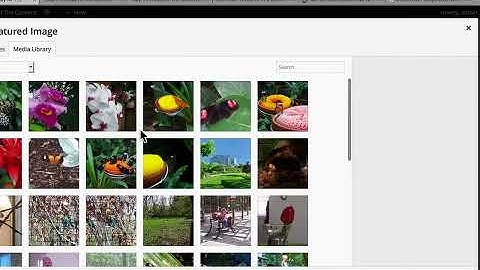 How to Create a WordPress Audio Gallery Playlist