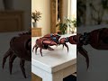 ⚙️ From tiny pod to armored sea beast in seconds. 🦀🔥 #Shorts #MechanicalToy #Transformer #Robot